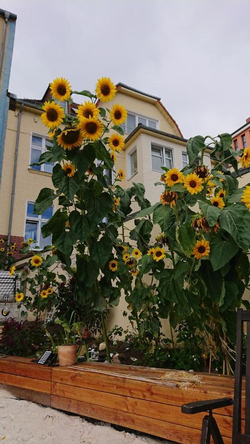 Accommodatie bij particulieren Ferienwohnung Dahme *